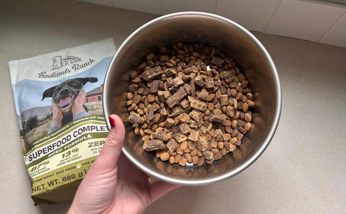 The Role of Antioxidants in Badlands Ranch Dog Food for Immune Health