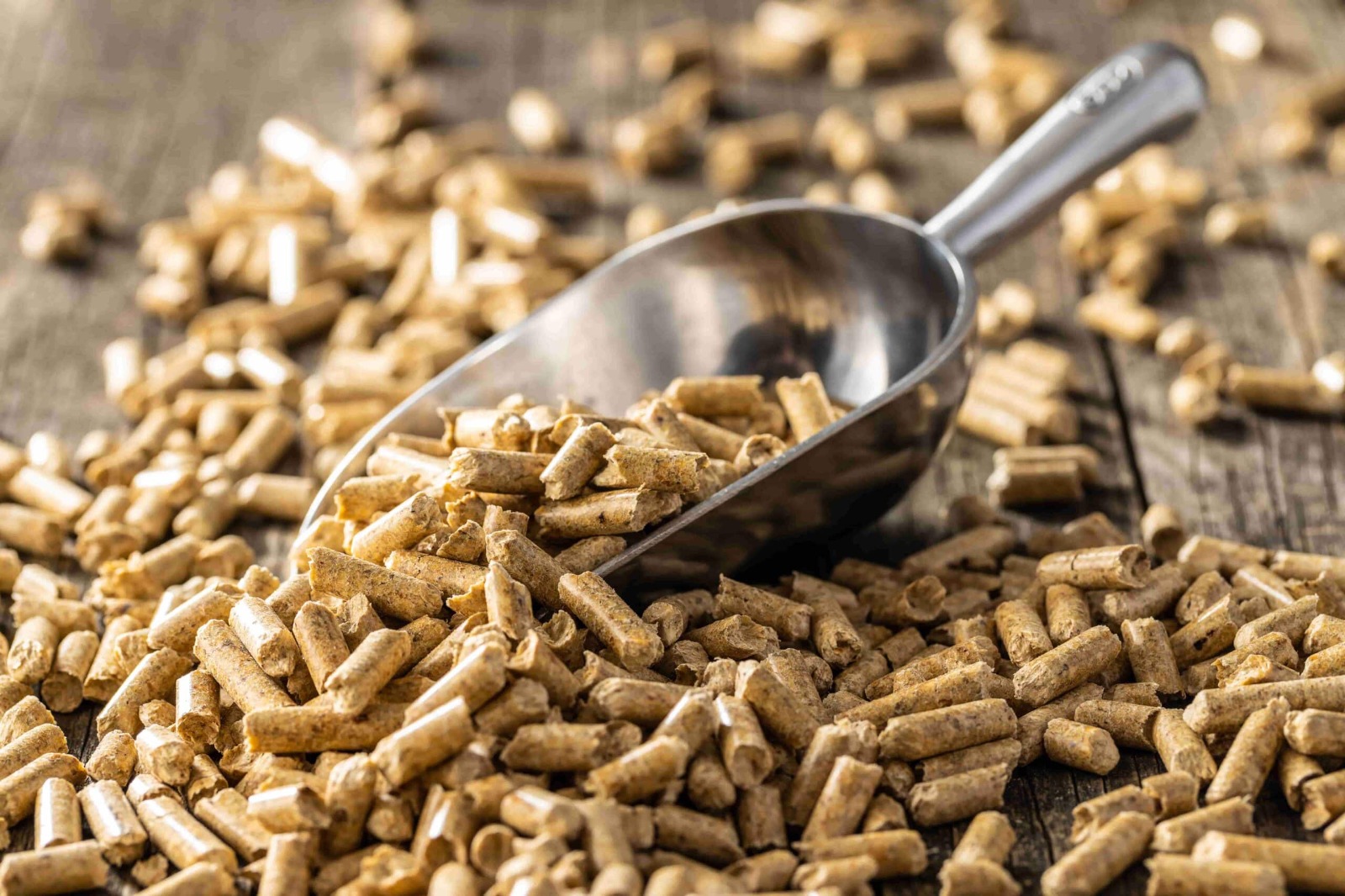Buy Wood Pellets for Sustainable Home and Industrial Heating