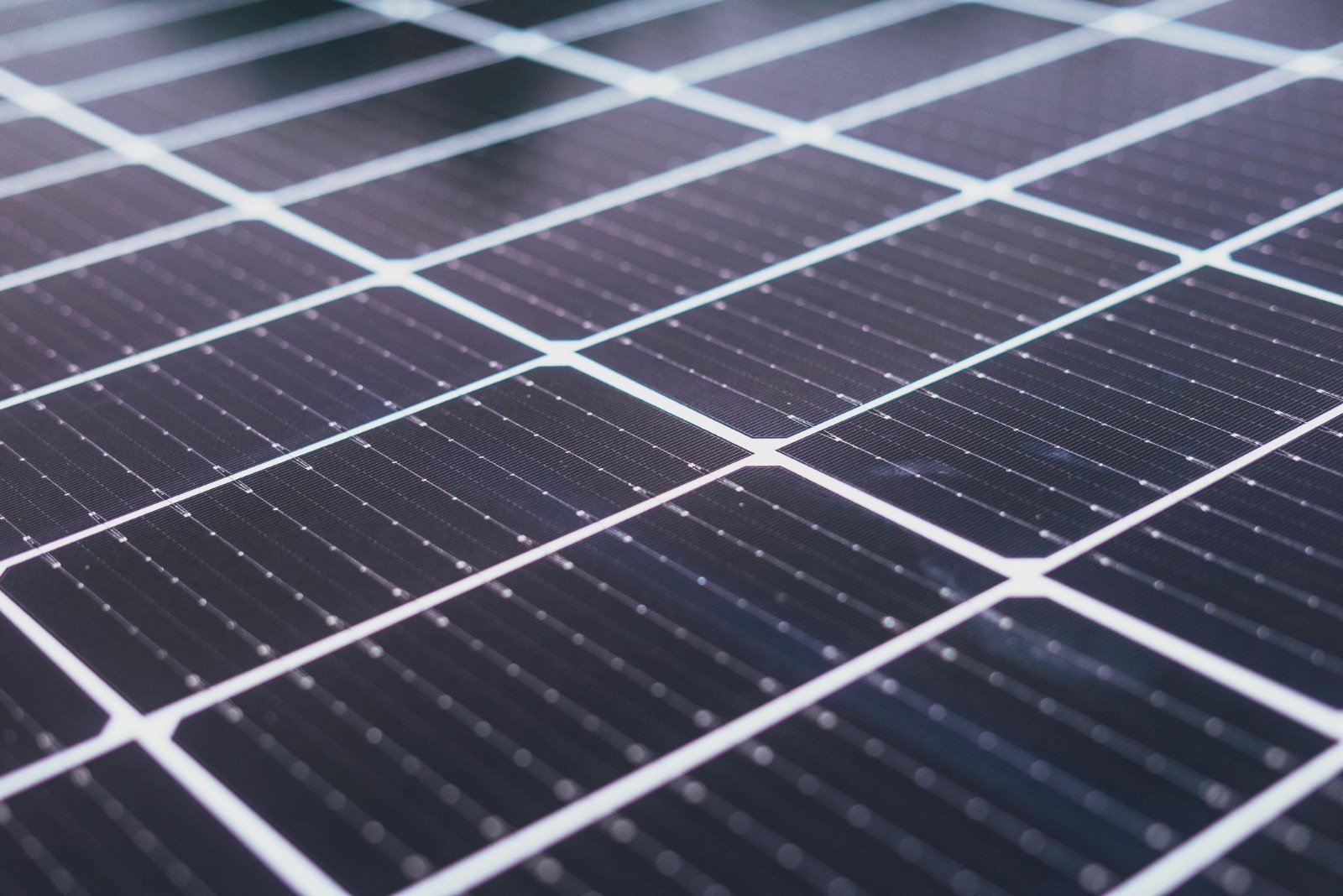 Commercial Solar Leicester: Sustainable Power for Every Industry