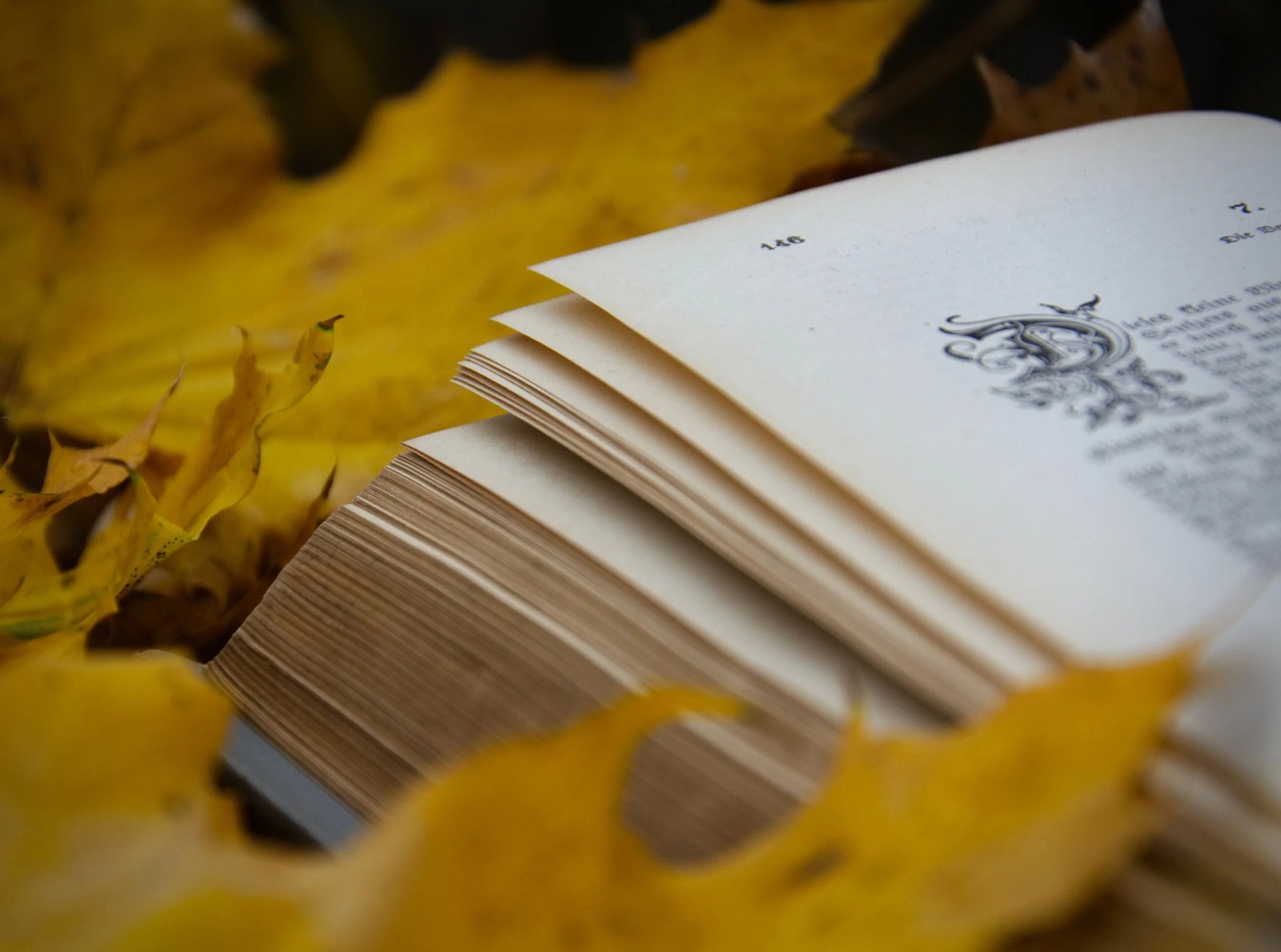 Uncover Hidden Truths in Stephanie Colbert’s Fire Demon