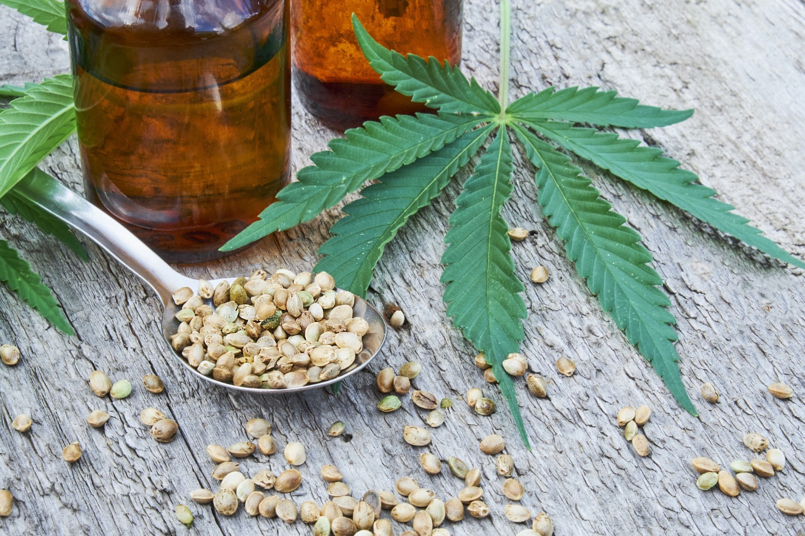 Donkey Butter Strain – Affordable High-Quality Cannabis at Bud Cargo