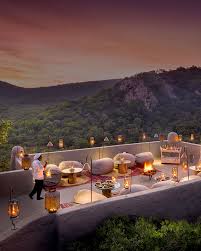 South African Safari Adventures Across World-Class Parks