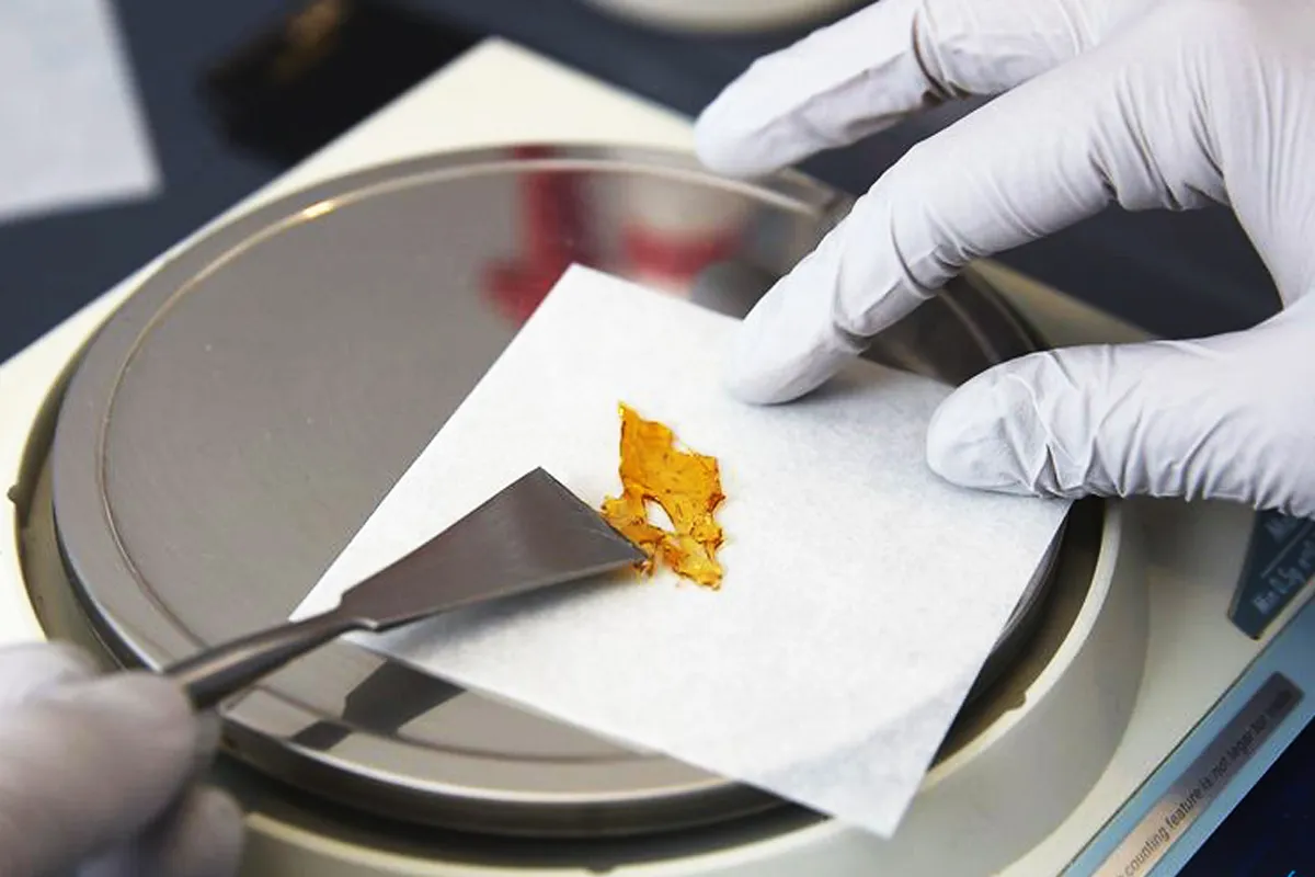 How to make thc oil Using Coconut or Olive Oil
