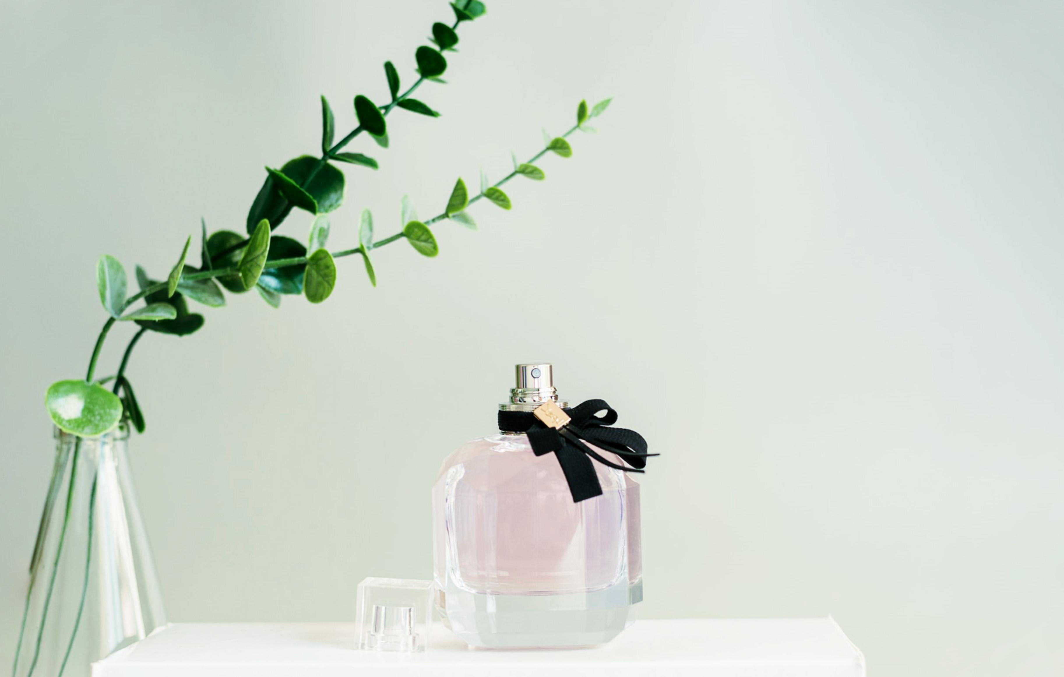 Why Alien Perfume EDP 90ml Is a Top Choice for Long-Lasting Scent