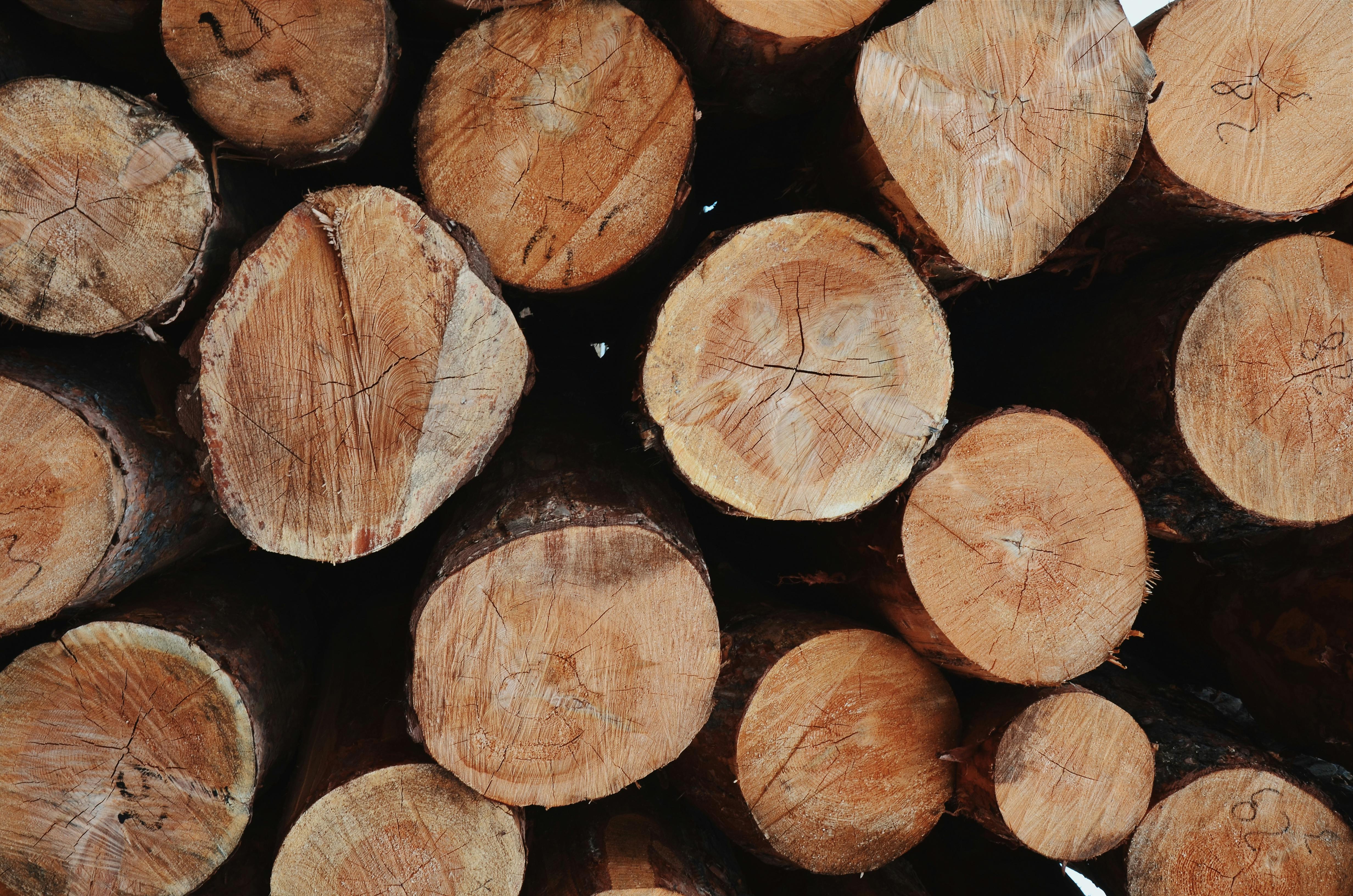Eco Briquettes Greece: Your Green Solution for Home and Industrial Heating