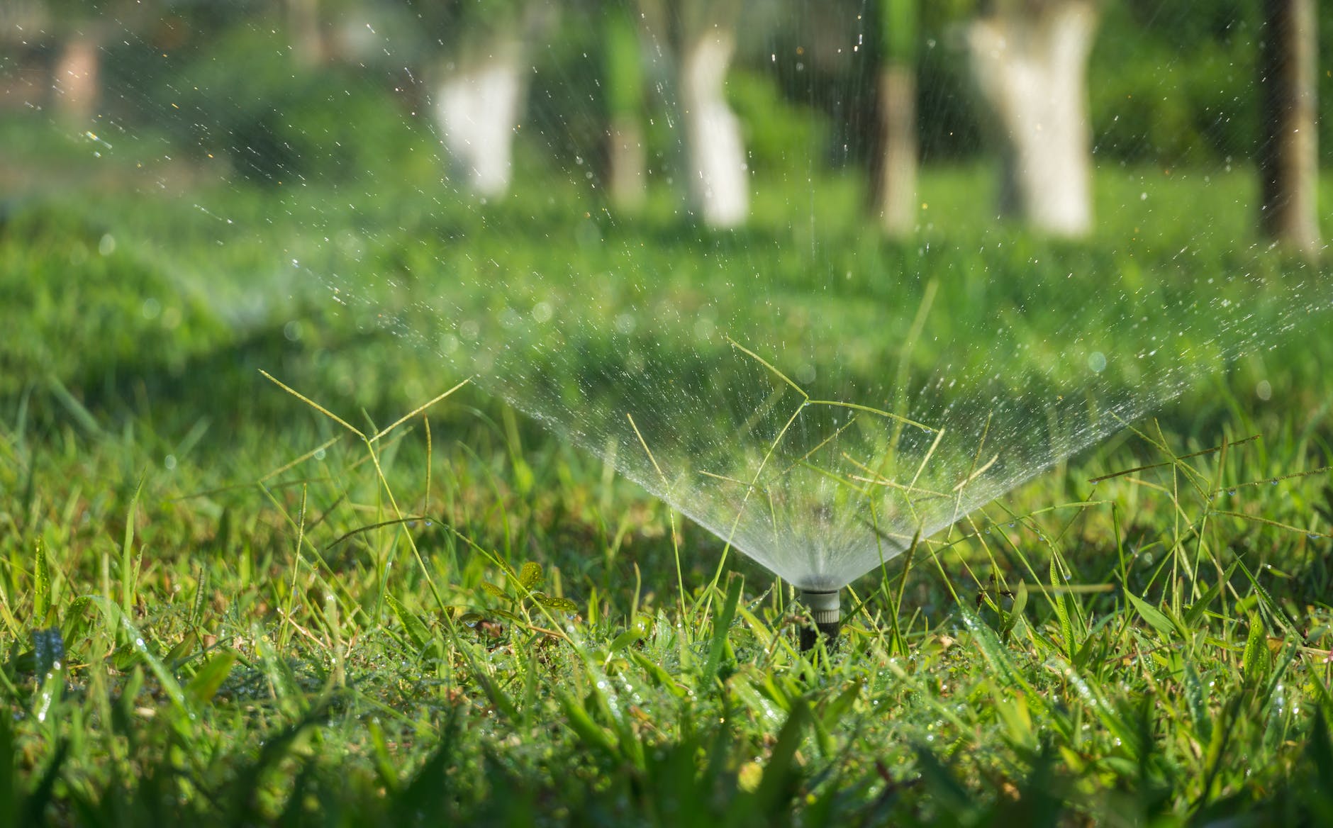Professional Irrigation Services in Azle , TX for Efficient Watering Solutions