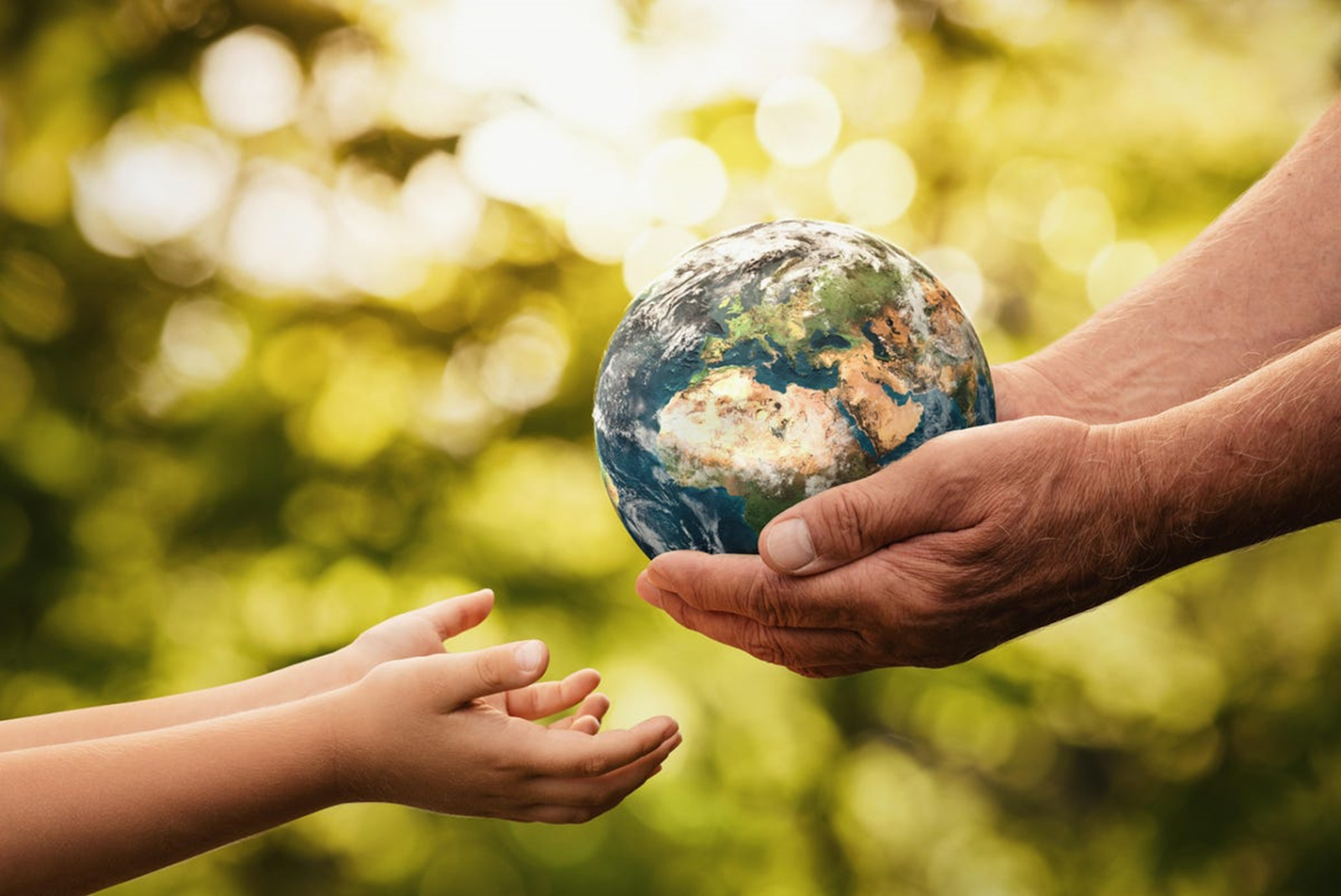 Why Sustainable Food Is Better for Everyone