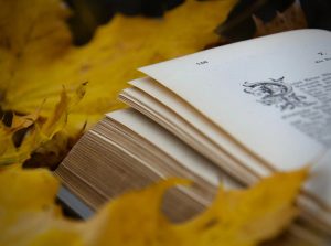 WhatsApp Image 2025-10-14 at 4.51.30 PM (3)