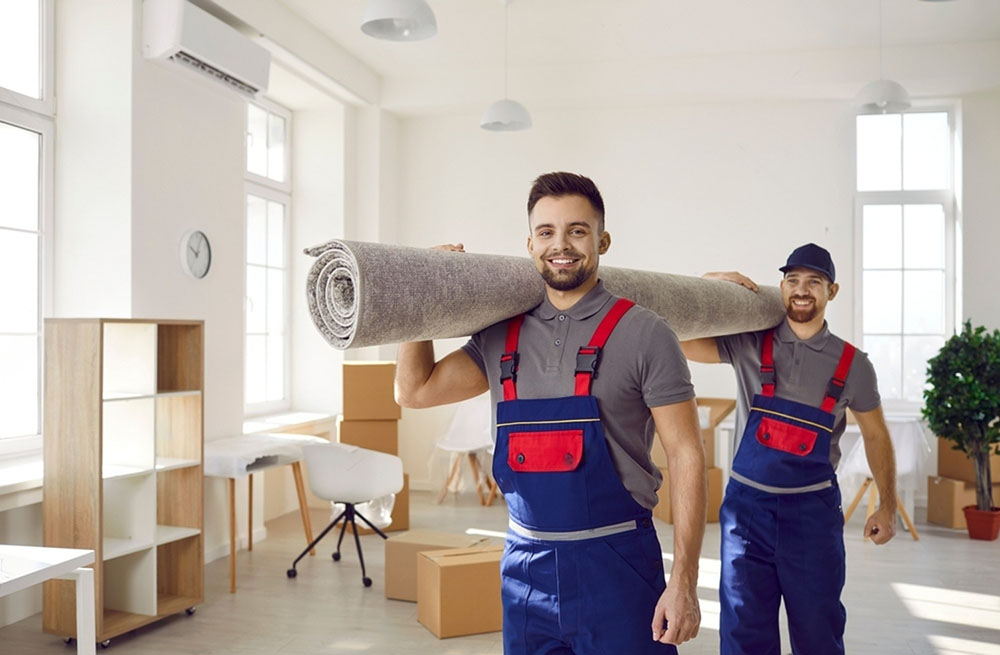 Adler-Entruempelung-Hero-3-mobil