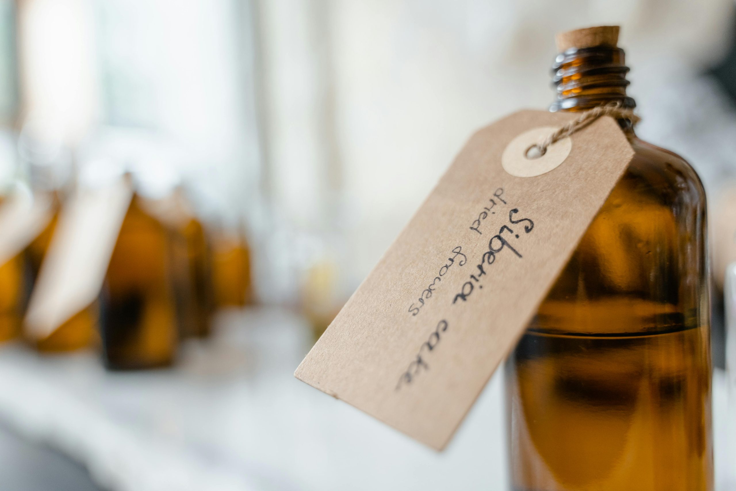 Wat Reef parfums zo geliefd maakt